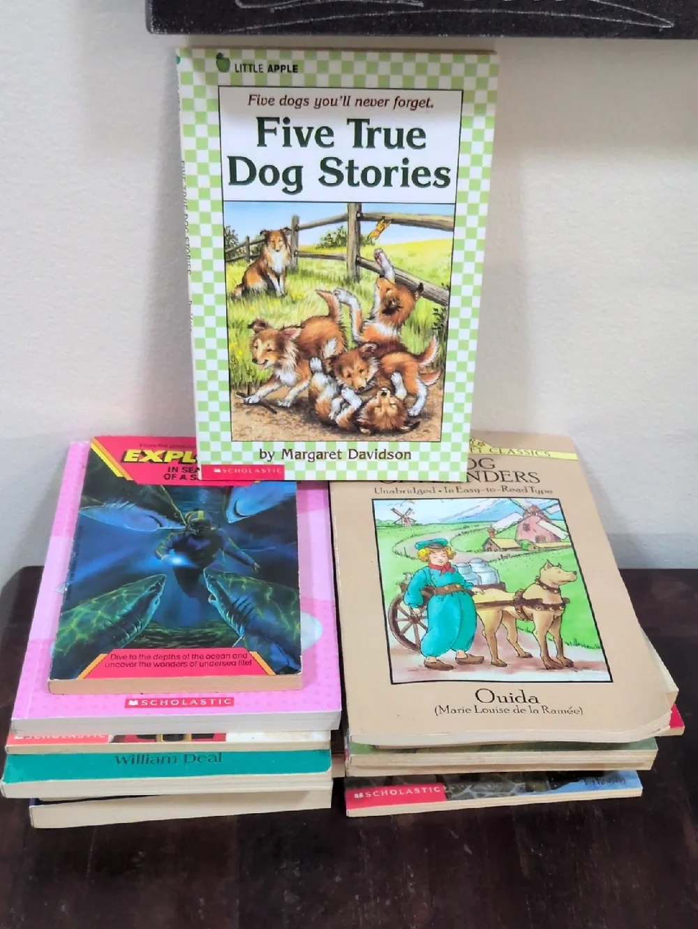 Scholastic Vintage Children's Paperback Fiction Chapter Books Lot of 14